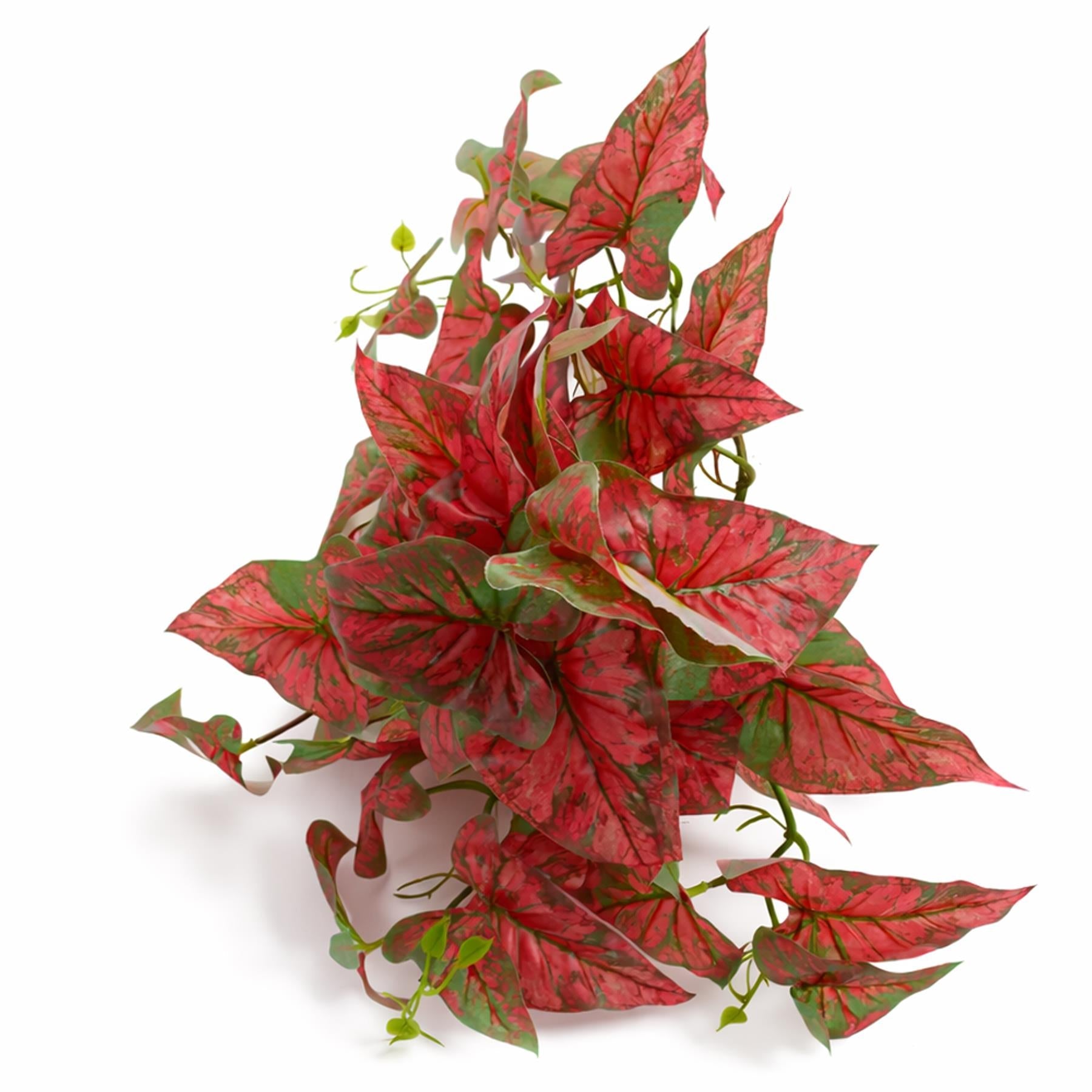 30cm Artificial Trailing Red Caladium