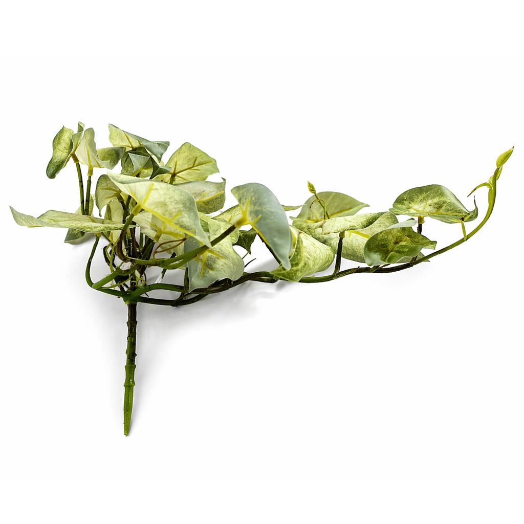 25cm Artificial Trailing Variegated Caladium Vine Plant Light Green