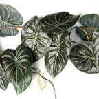 120cm Artificial Hanging Trailing Plant Alocasia Dragon Scale Dark