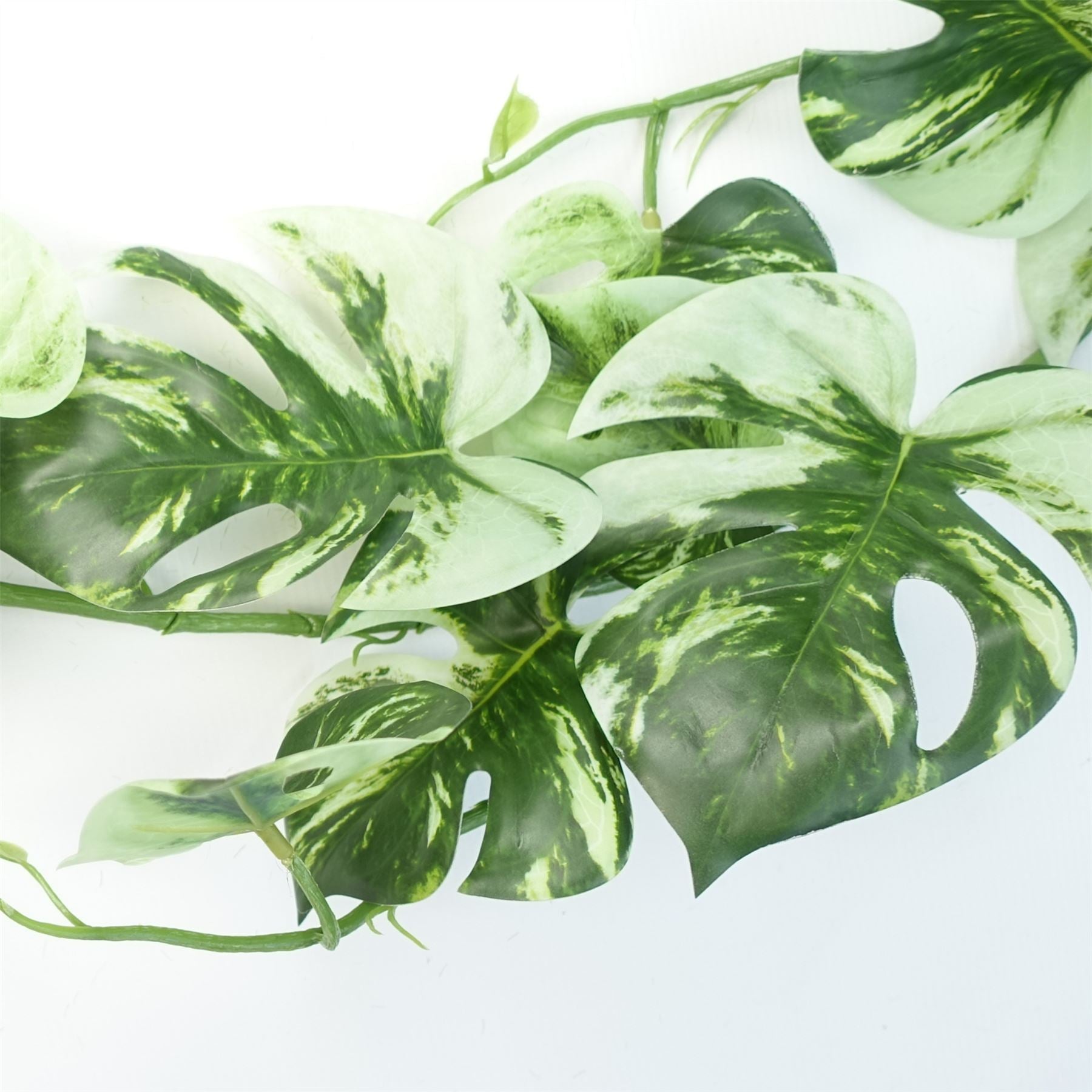 180cm Artificial Hanging Trailing Variegated Monstera Plant