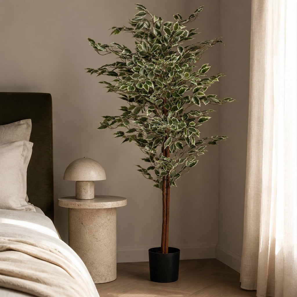 160cm Artificial Ficus with Natural Variegated Leaves