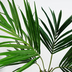 Artificial 120cm Kentia Palm Tree