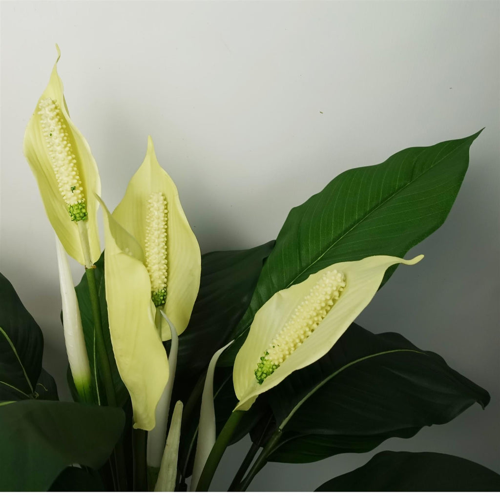 Artificial White Spathiphyllum Peace Lily
