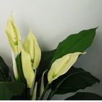 Artificial White Spathiphyllum Peace Lily