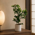 45cm Artificial Aglaia Odorata Bonsai Ficus Tree