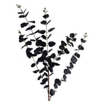 80cm Artificial Black Eucalyptus Foliage Stem