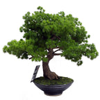 Artificial Luxury Pine Bonsai Tree 50cm