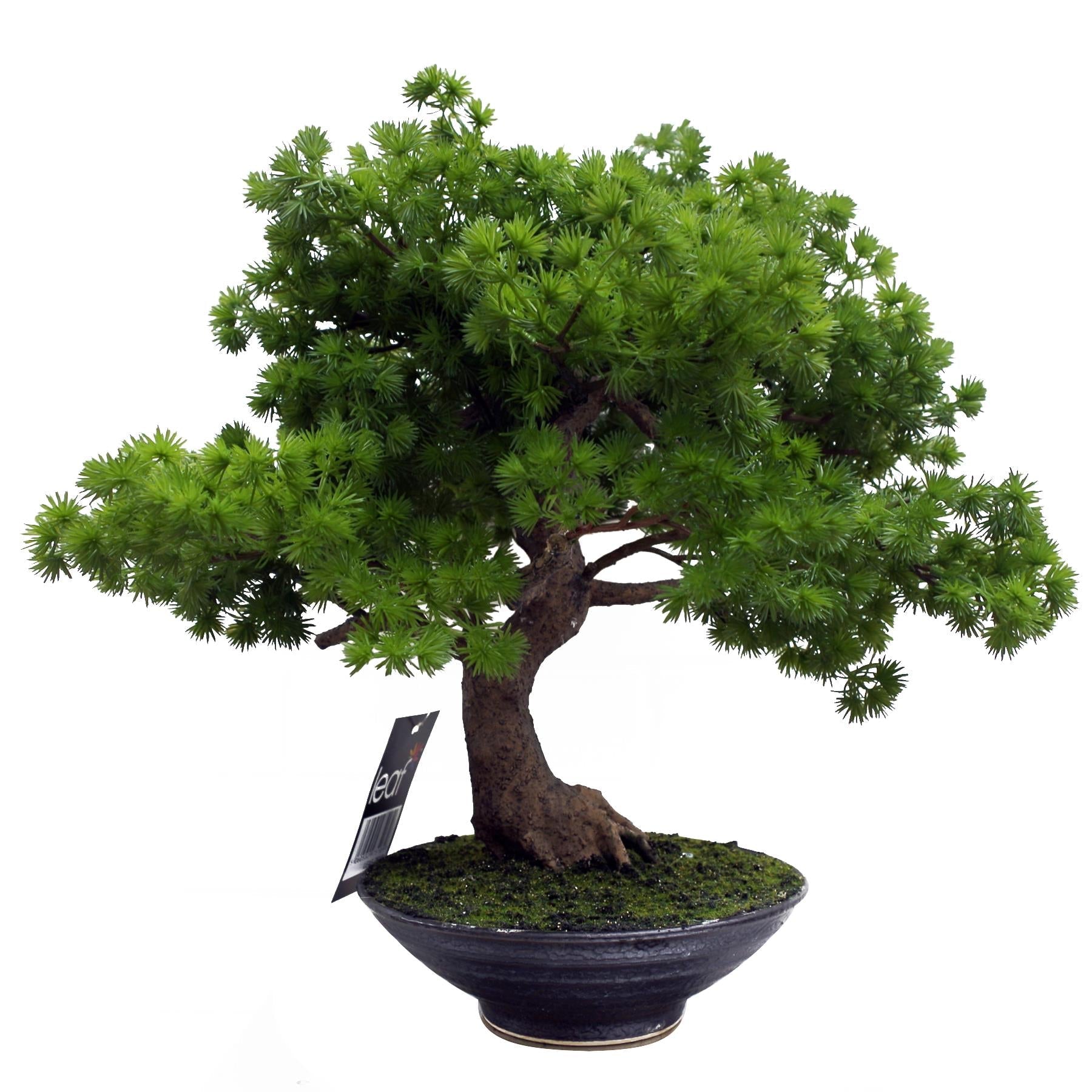 Artificial Luxury Pine Bonsai Tree 50cm