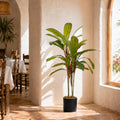 Artificial 100cm Potted Dracaena Tropical Plant