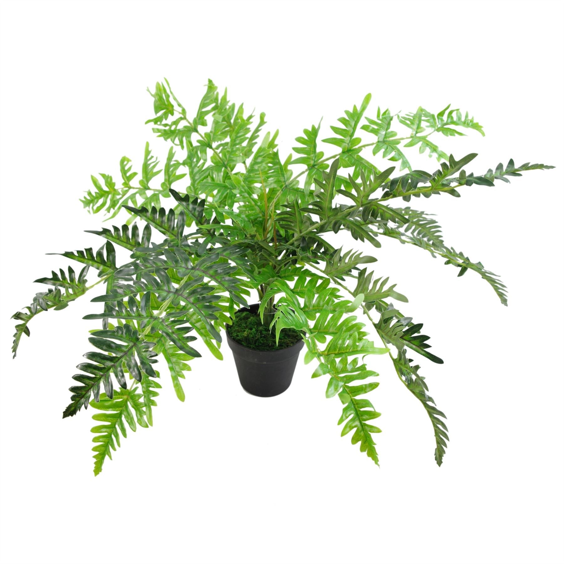 50cm Luxury Artificial Evergreen Fronded Fern Plant