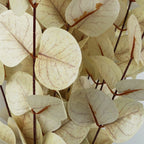 80cm Artificial White Eucalyptus Foliage Stem