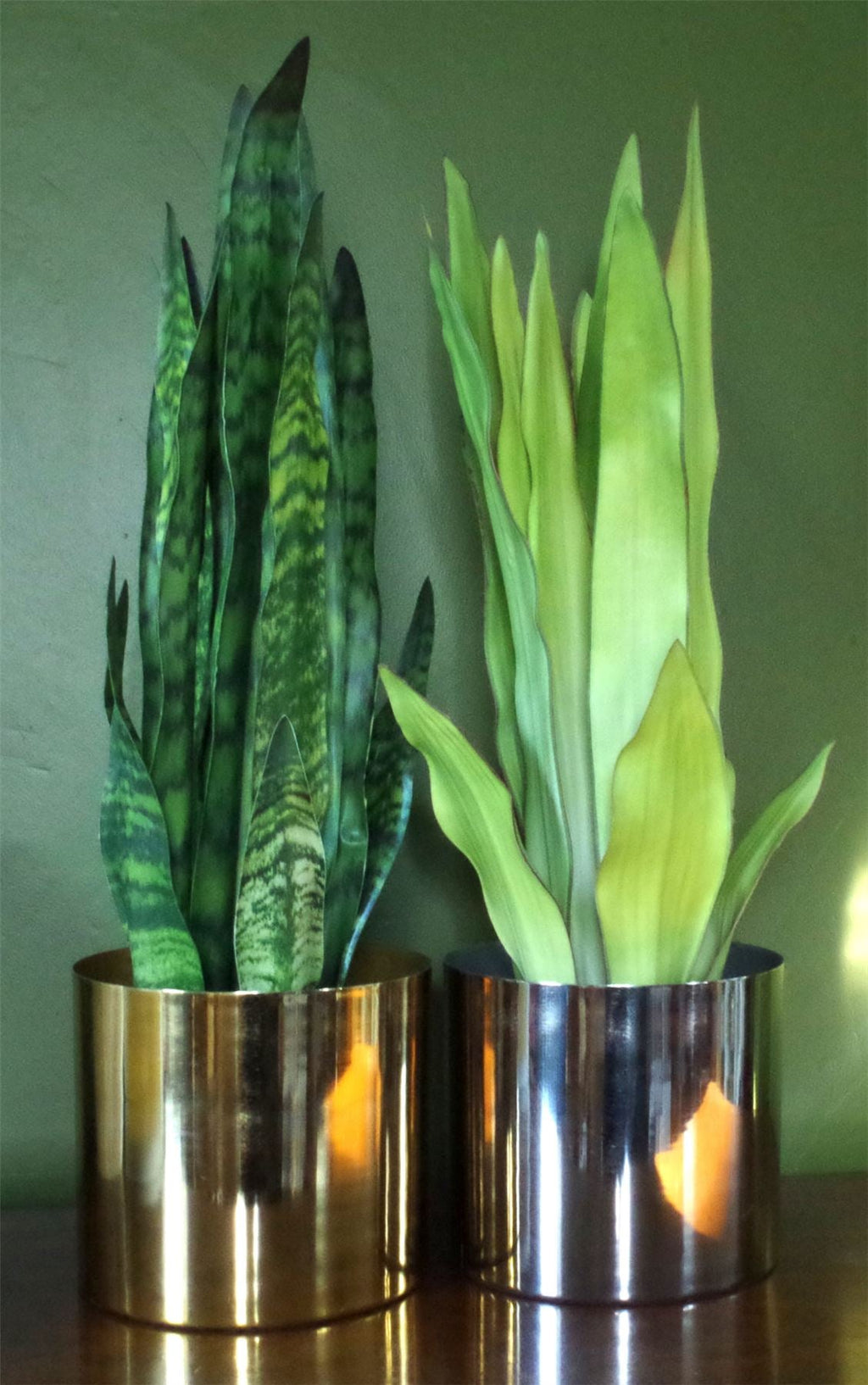 Artificial 70cm Sansevieria Zeylanica Plant