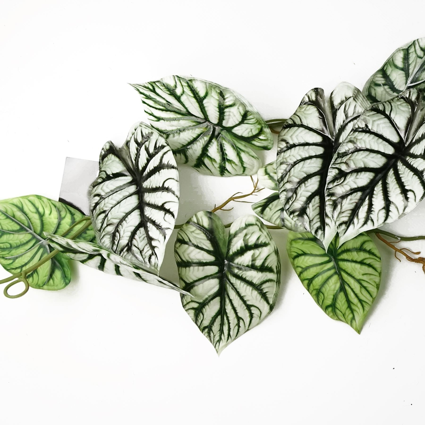 120cm Artificial Hanging Trailing Plant Alocasia Dragon Scale Light