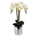 52cm Artificial Orchid Large -White Silver