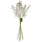 100cm Artificial Phalaenopsis Orchid White Stem