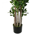 Faux Deluxe 75cm Artificial Green Jade Plant