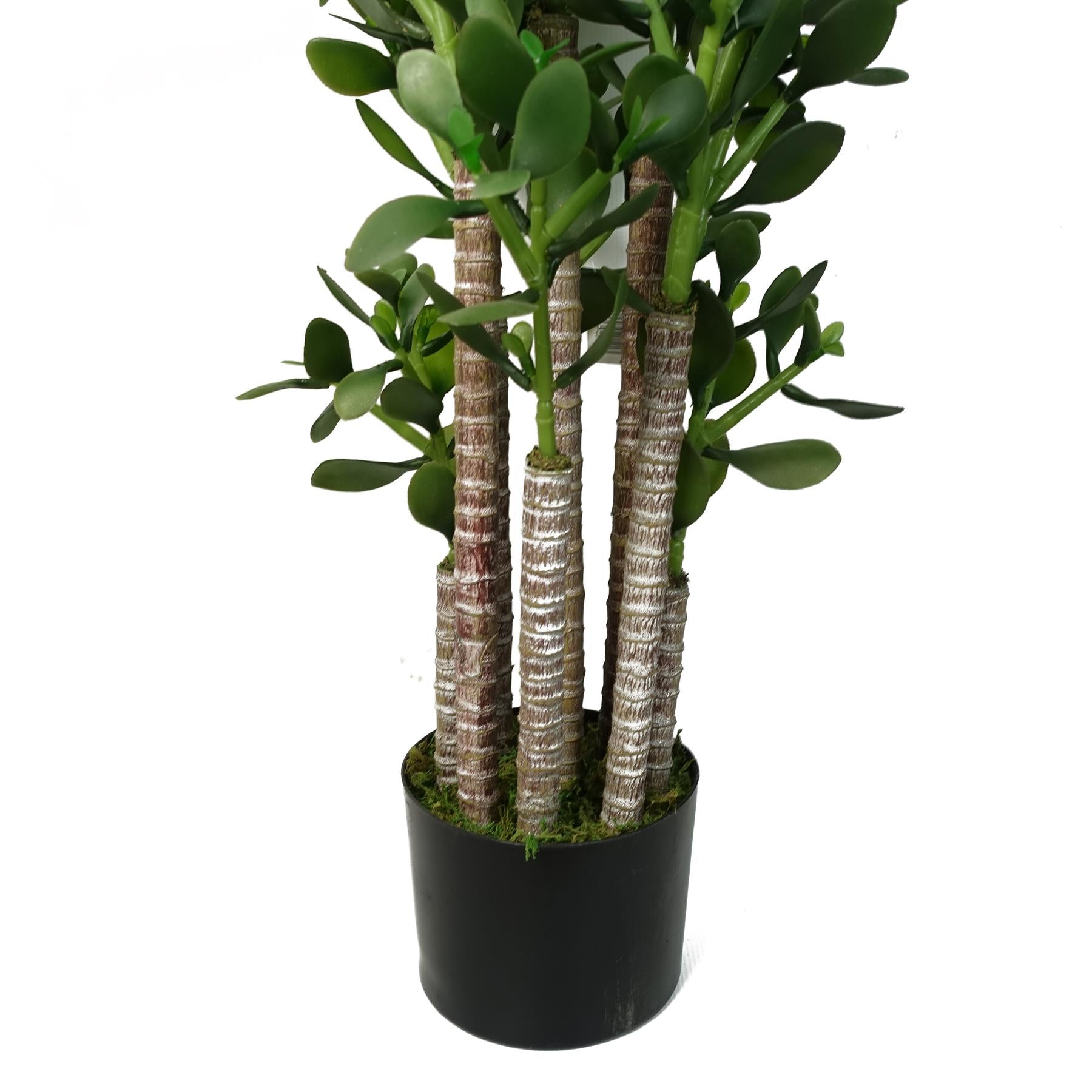 Faux Deluxe 75cm Artificial Green Jade Plant