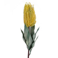 75cm Banksia Menziesii Yellow Flower Stem Artificial