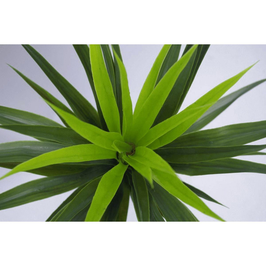 90cm Large Artificial Yukka Plant Spiky Tree Plant