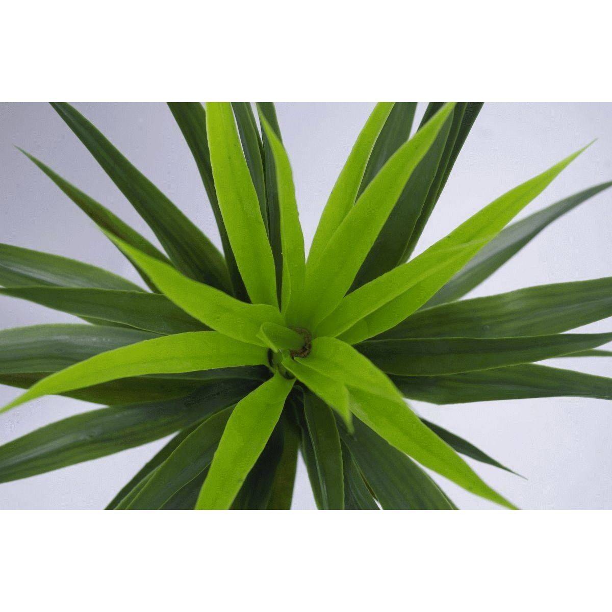 90cm Large Artificial Yukka Plant Spiky Tree Plant