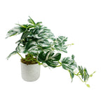 30cm Artificial Variegated Green Potted Monstera Trailing Plant
