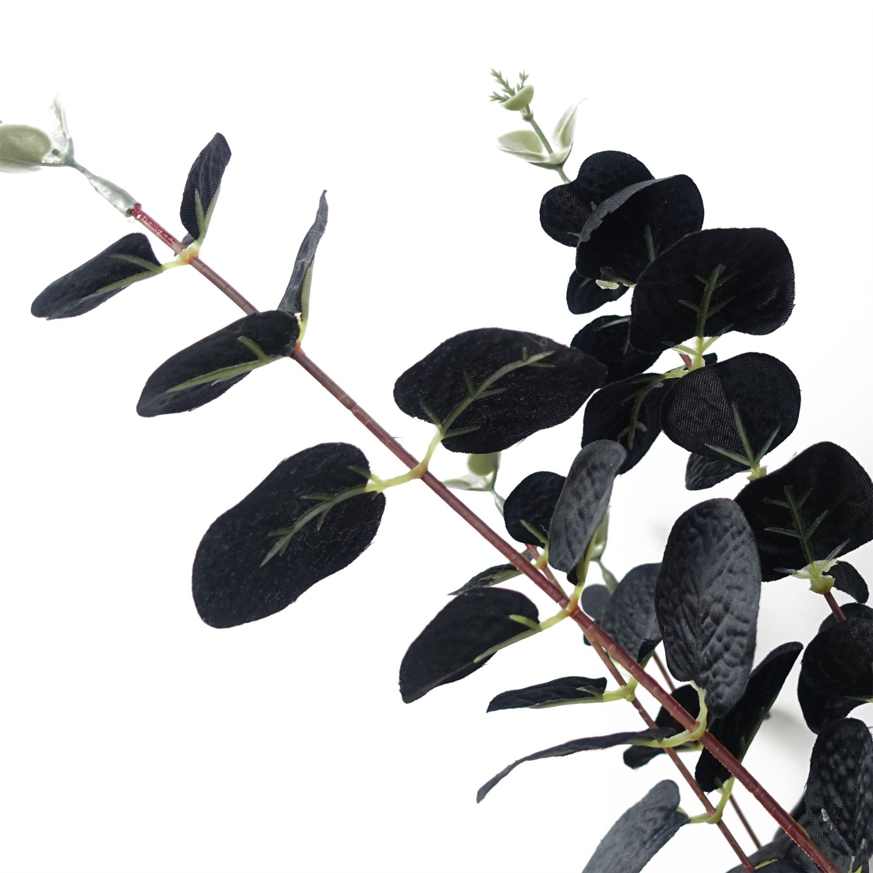 80cm Artificial Black Eucalyptus Foliage Stem