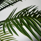 125cm Artificial UV Resistant Raphis Palm Tree Natural Trunk