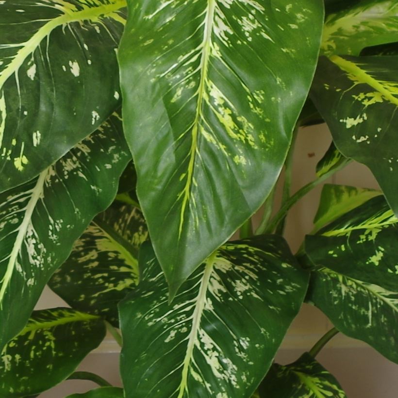 100cm Large Spotted Evergreen Tree Artificial Plant