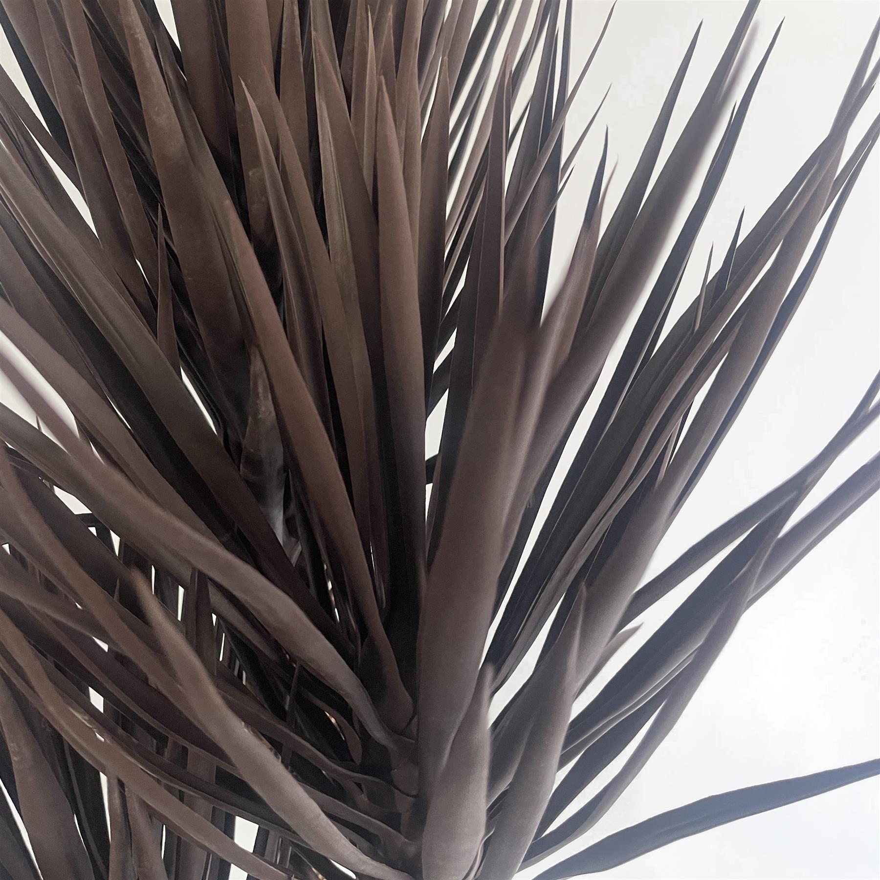 155cm UV Resistant Artificial Triple Yukka Tree Plant Tree Triple Dark