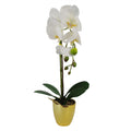 46cm Artificial Orchid White Gold
