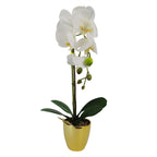 46cm Artificial Orchid White Gold