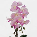 Artificial 50cm Phalaenopsis Orchid Light Pink Silver