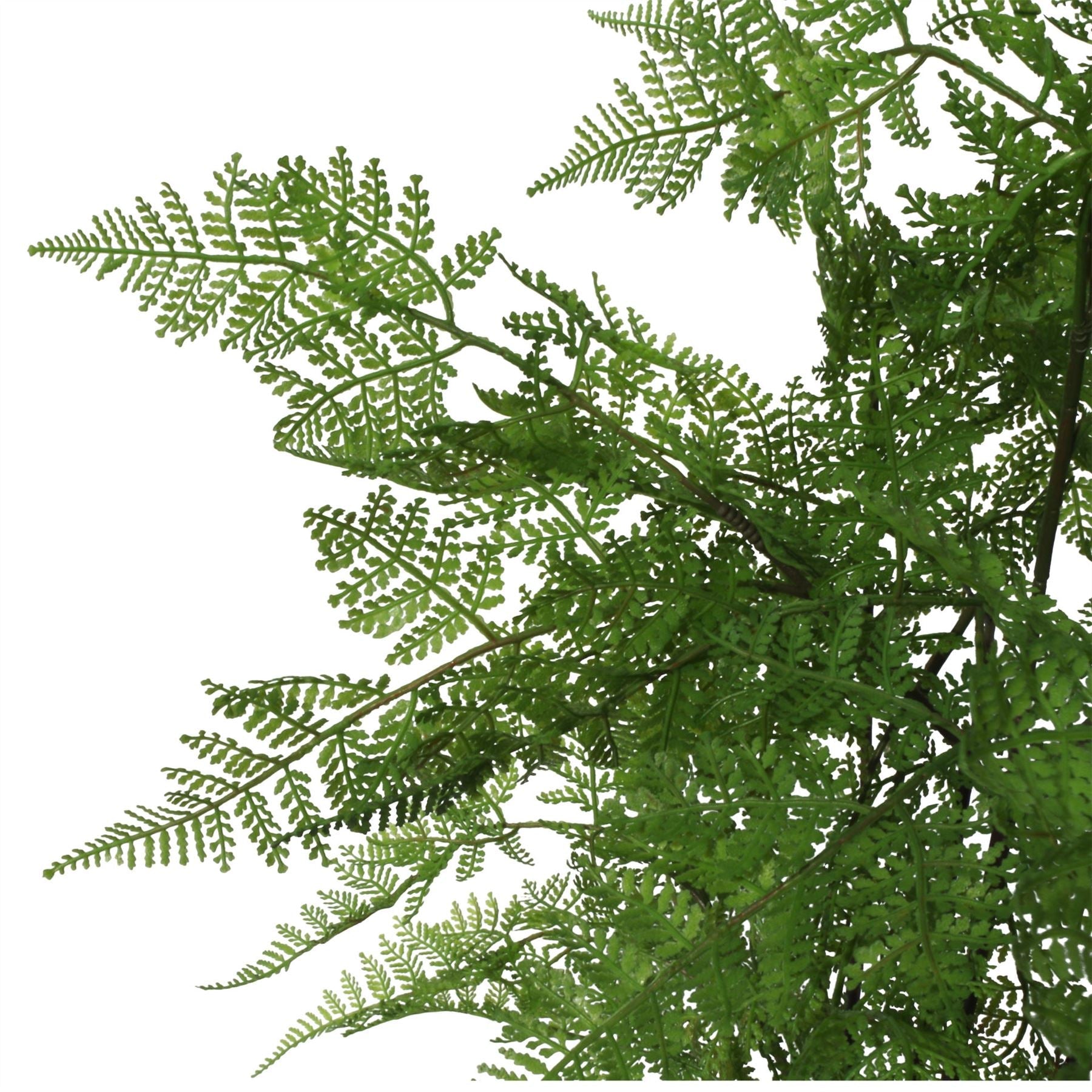 Artificial 90cm Natural Moss Base Fern Foliage Plant