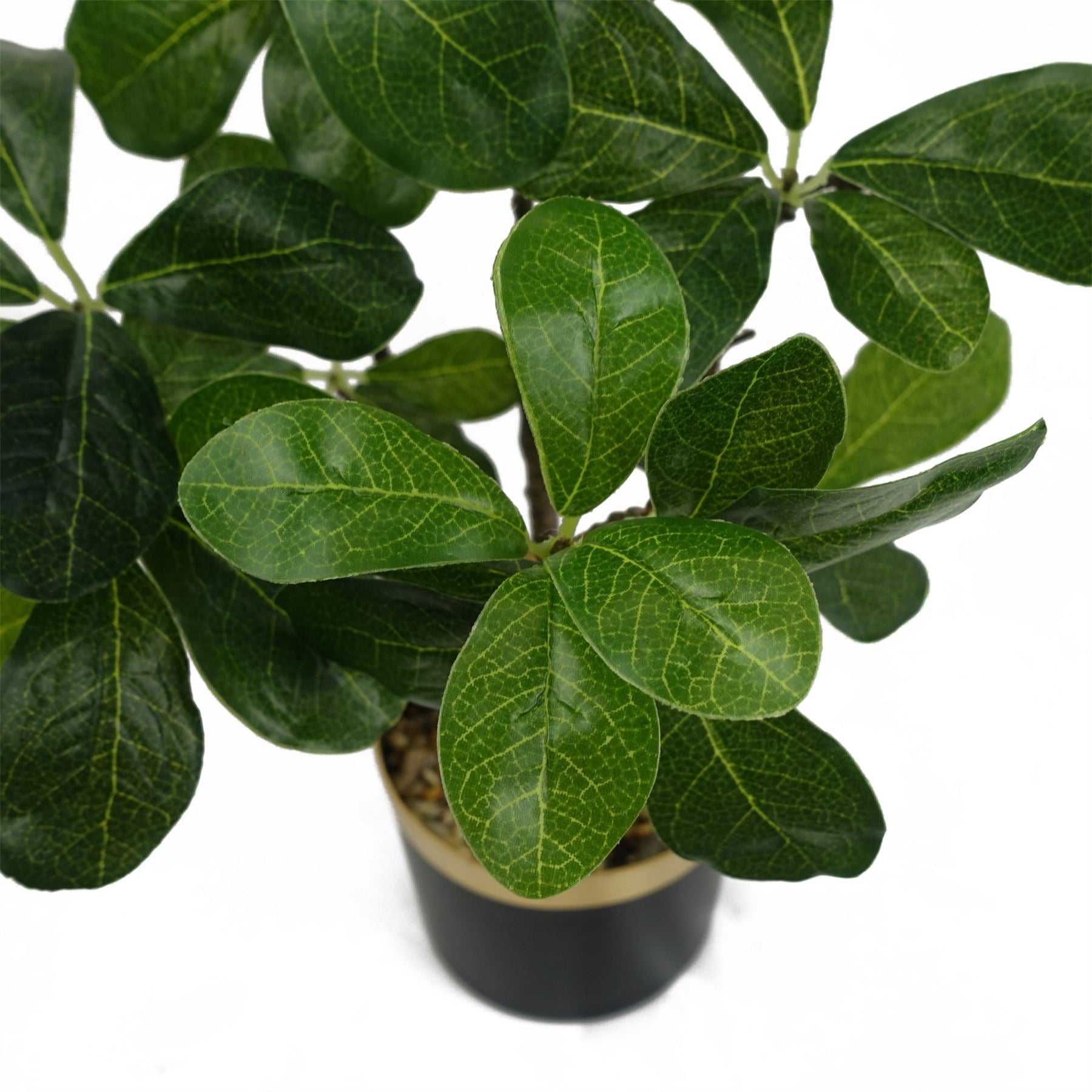 60cm Artificial Tropical Bonsai Ficus Tree