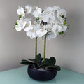 Artificial 60cm Orchid White Black Ceramic Planter
