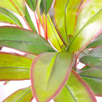 100cm Artificial Potted Dracaena Tropical Plant Copper Metal Plater