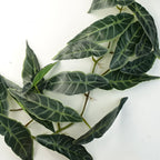 110cm Artificial Hanging Trailing Dark Green Leaf Plant