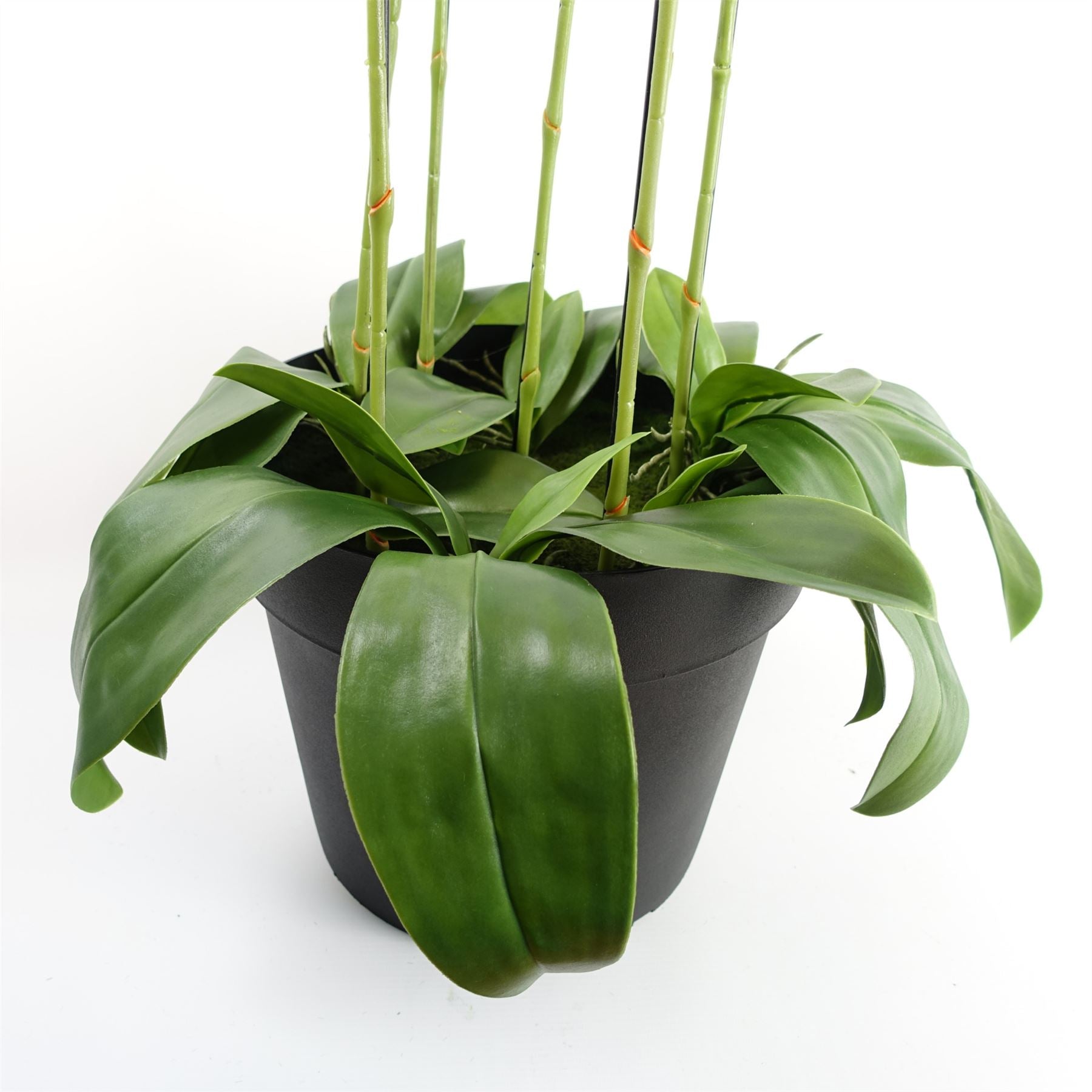 110cm Artificial White Orchid Plant Artifcial 41 REAL TOUCH flowers