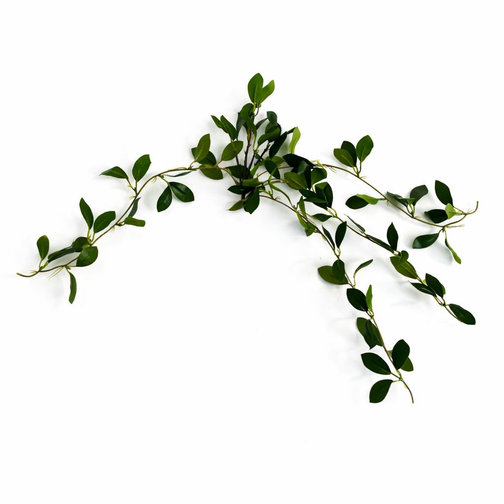 55cm Artificial Trailing Ficus Vine Stem