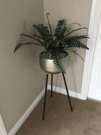 60cm Artificial Boston Fern Plant Boston Fern