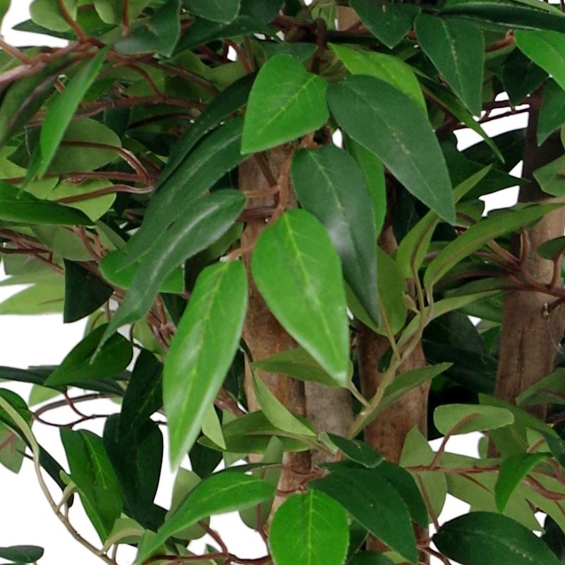 Artificial 90cm Luxury Smilax Sarsaparilla Ficus Tree Premium Range