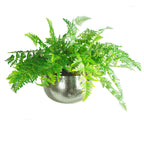 Leaf Metal Bowl Planter 32 x 20cm Hammered Silver Colour Straight Edge
