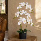 65cm Luxury Artificial Orchid 3 Stems Soft White Plant