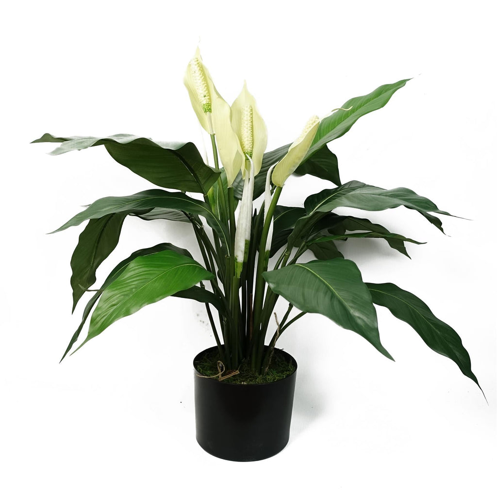 Artificial White Spathiphyllum Peace Lily