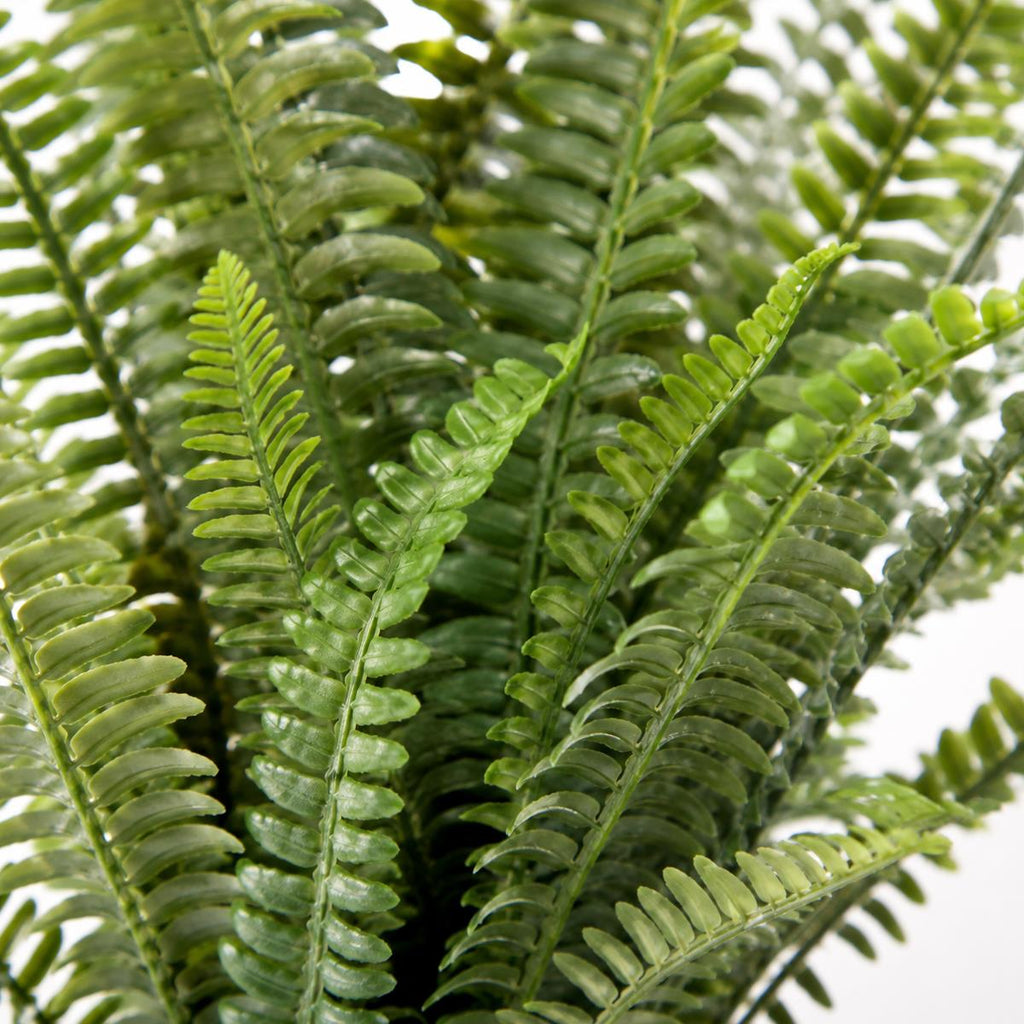 74cm Artificial Fern Plant