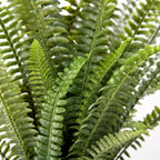 74cm Artificial Fern Plant