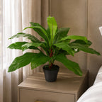 60cm Bushy Large Bird's Nest Fern Plant Artificial