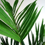 Artificial 150cm Kentia Palm Tree