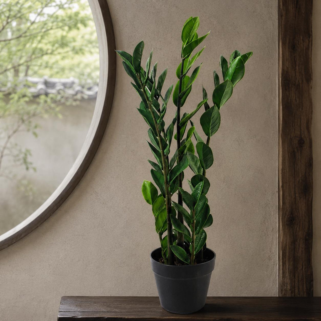 75cm Artificial Zanzibar Green Gem Zamioculcas Succulent Indoor Plant