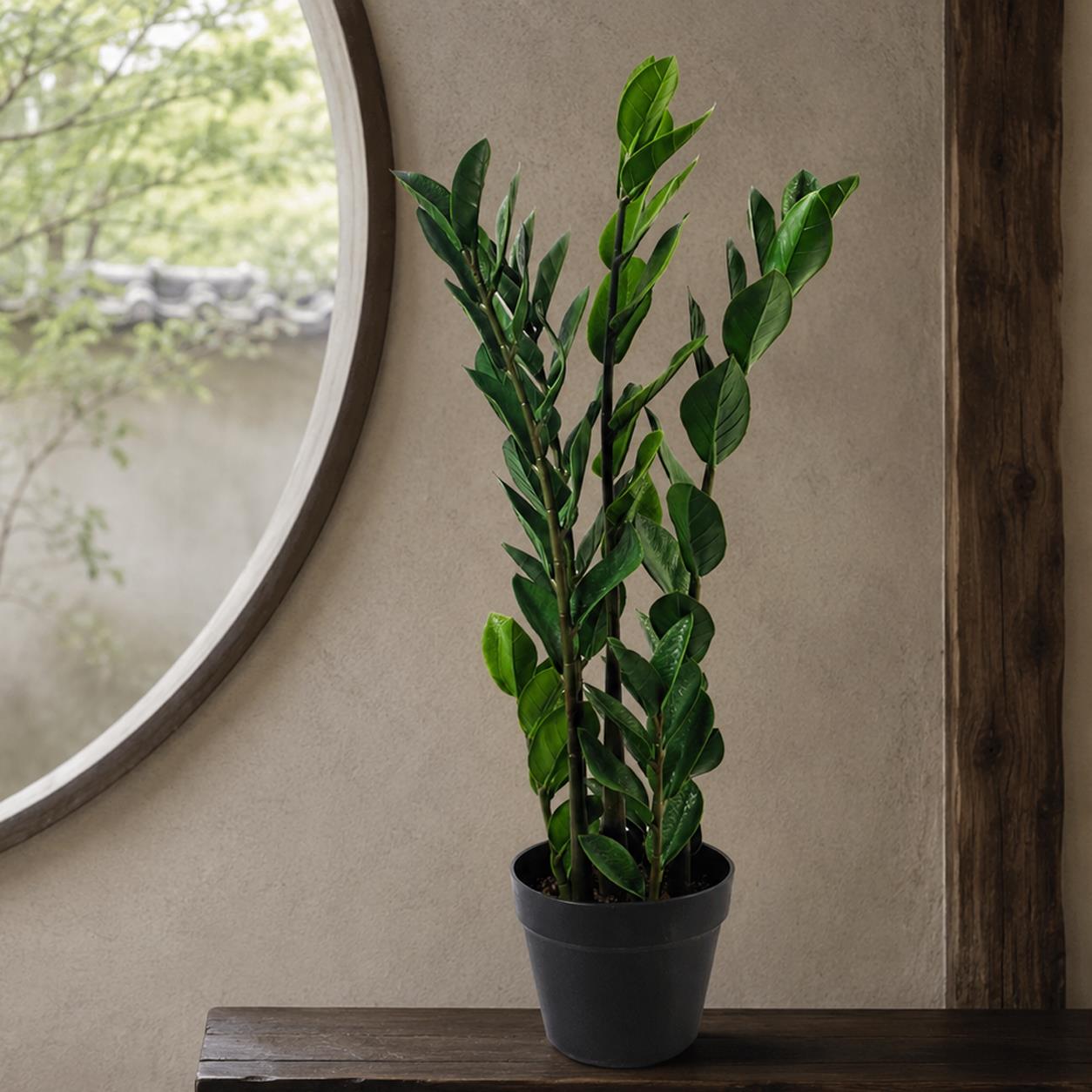 75cm Artificial Zanzibar Green Gem Zamioculcas Succulent Indoor Plant